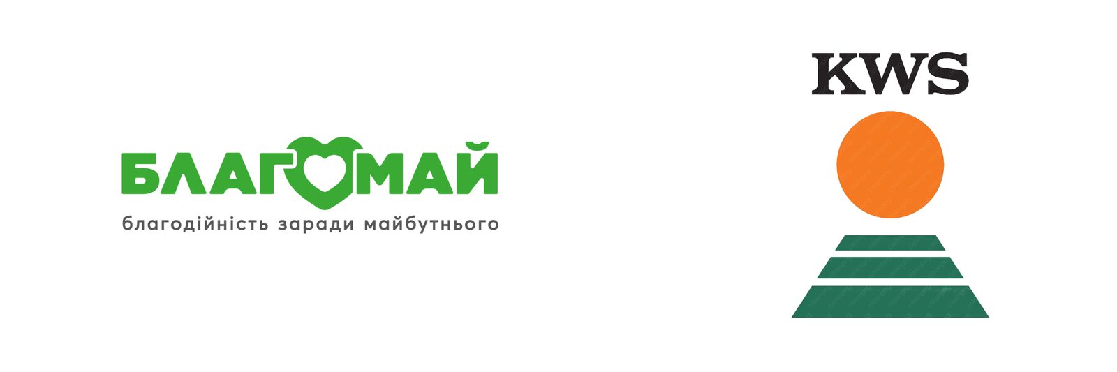🏫 Roof Restored: Antonivka Arts Lyceum is Safe Again!